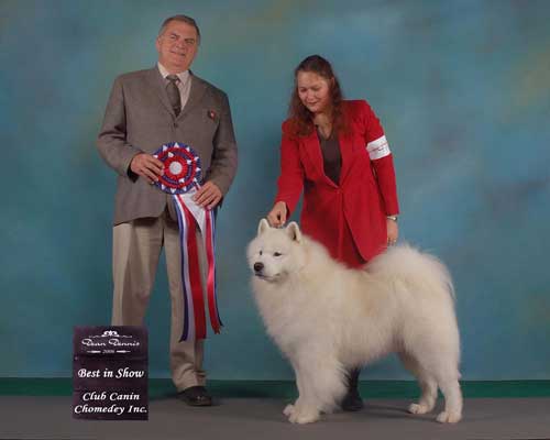Solo Best IN Show