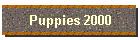 Puppies 2000