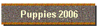 Puppies 2006